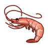Shrimp.webp