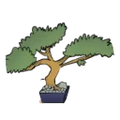 Thirsty Tree